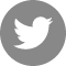 twitter-circle