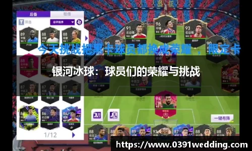 银河冰球：球员们的荣耀与挑战