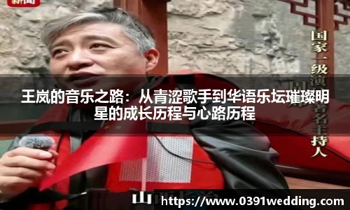 王岚的音乐之路：从青涩歌手到华语乐坛璀璨明星的成长历程与心路历程